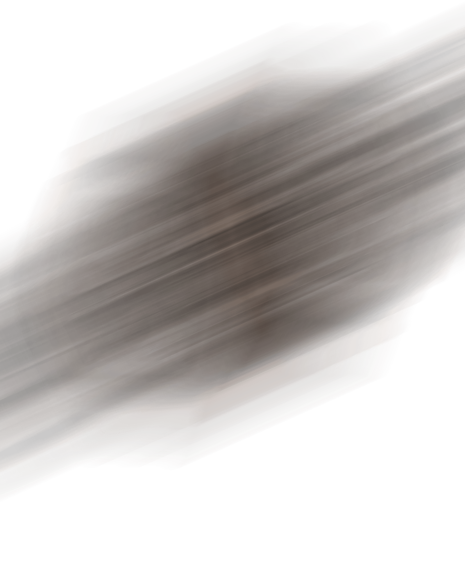 METROPOLITAN